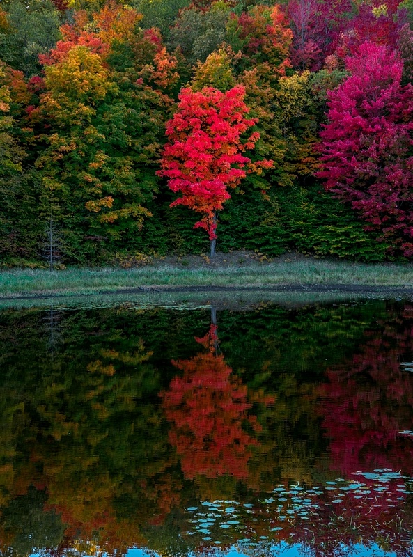 Fall Colors _DSC0448-FS2
