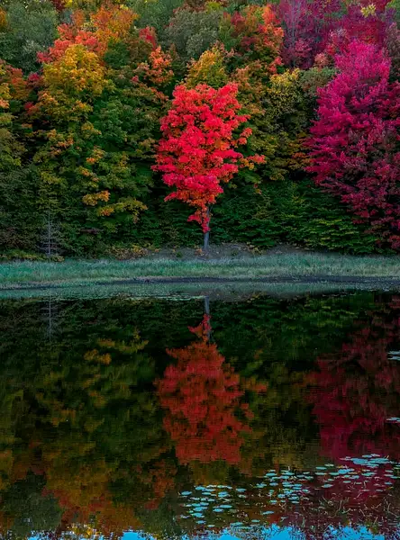 Fall Colors _DSC0448-FS2 by SDNowakowski