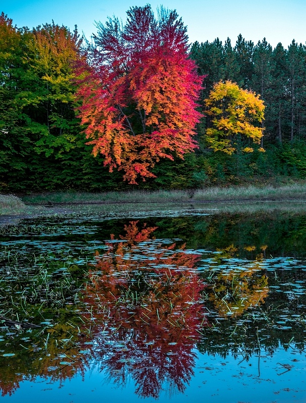 Fall Colors _DSC0462-FS2