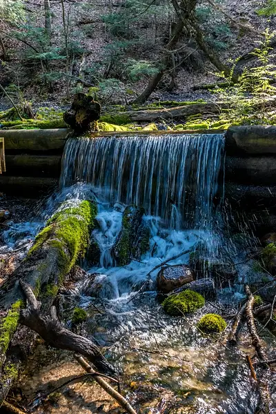 2021  D3500-FS Ausable River Valley Spring  DNG _49 by...