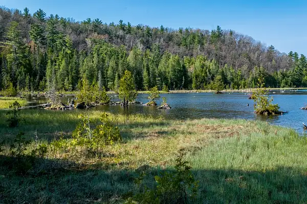 2021  D3500-FS Ausable River Valley Spring  DNG _65 by...