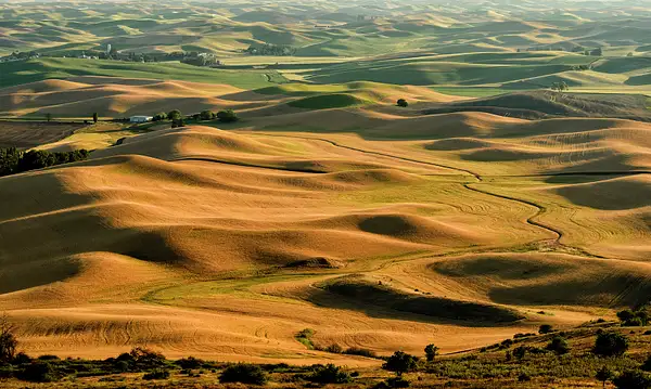 Hills and Curves In the Palouse by jgpittenger