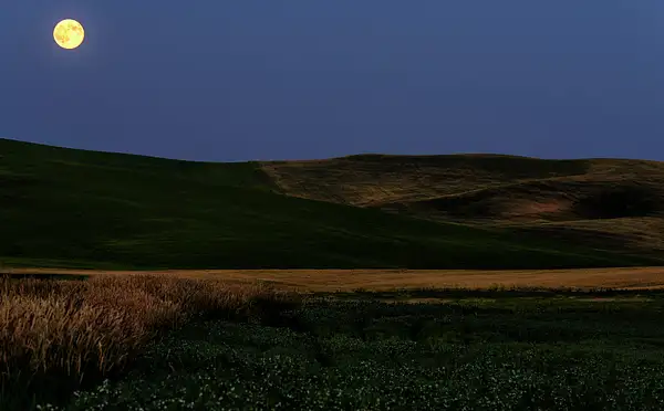 Twilight Moon Over Palouse by jgpittenger
