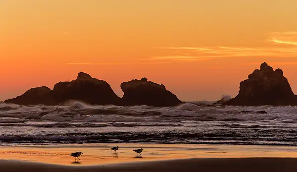 Walking in the Sunset at Bandon Rocks by jgpittenger
