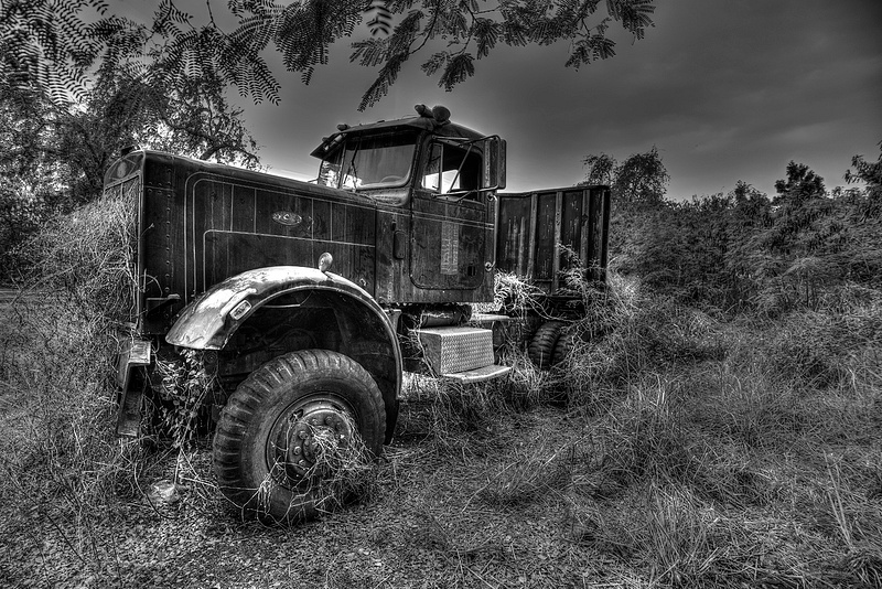 Overgrown Truck HDR B and W  1)