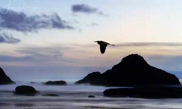 Seal_Rock_Quietness_After_the_Sun_Goes_Down_with_Heron...