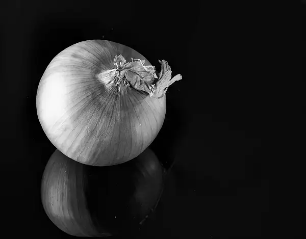 Onion by jgpittenger
