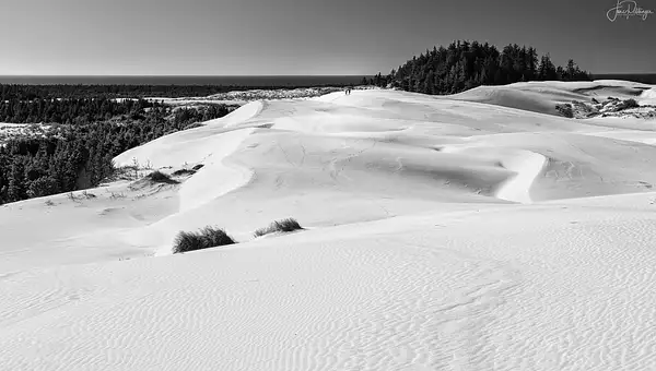 Oregon's Dunes B and W by jgpittenger