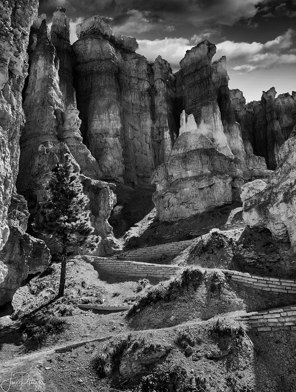 Bryce Canyon for B and W