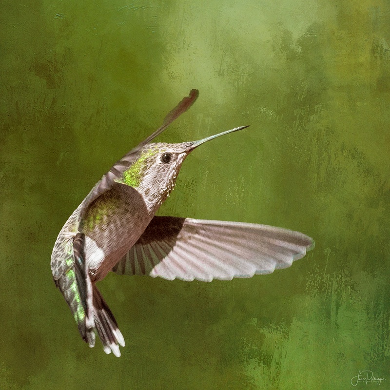 Hummer for Textures