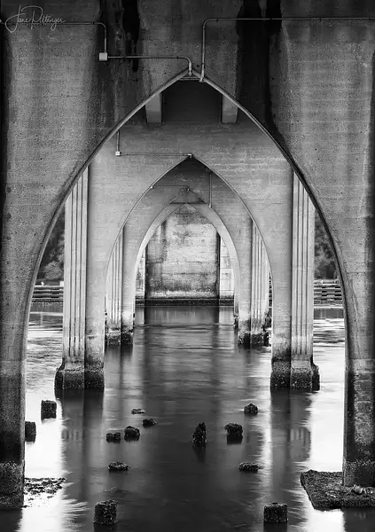 Under the Bridge B and W by jgpittenger
