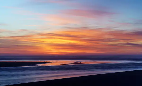 Seagulls At Sunset by jgpittenger