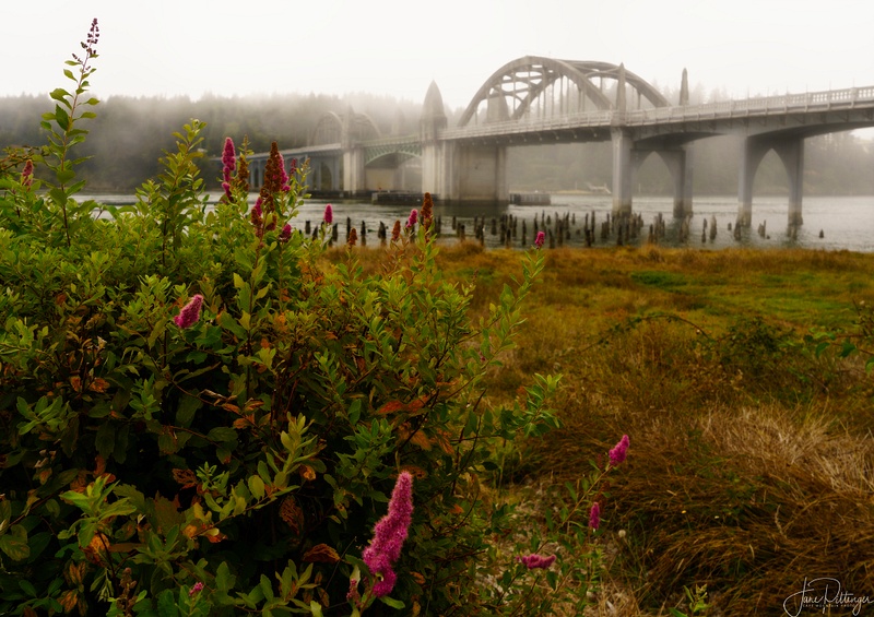 Through_the_Flowers_To_the_Foggy_Bridge