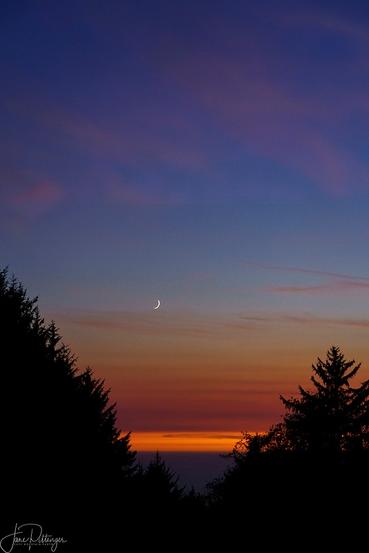 Sliver Moon at Sunset