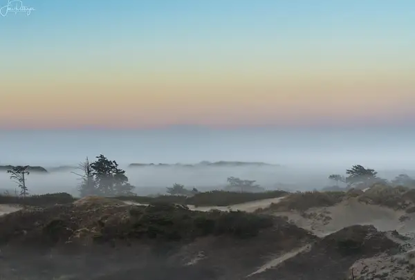 Dawn Fog Over the Dunes by jgpittenger