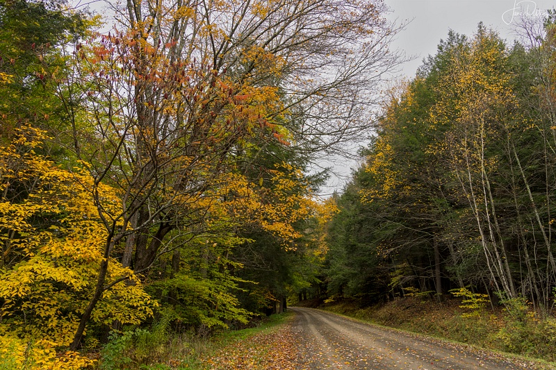 Fall Color on Cemetery Road