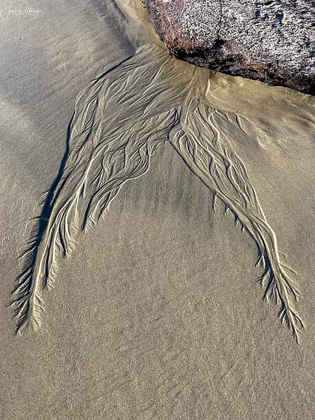 Sand and Peat Art by jgpittenger