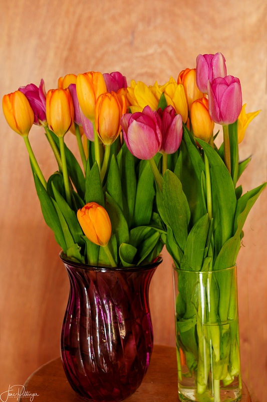 80th Birthday Tulips