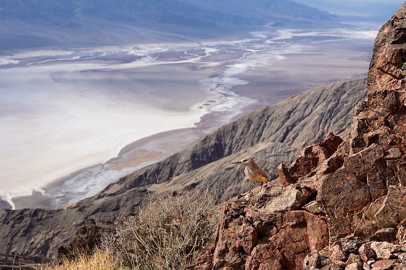 Death Valley 2013 03 14 0127 reduced
