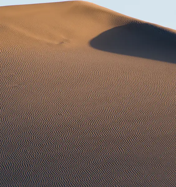 Dune Ripples by High Sierra Workshops