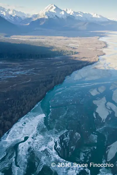 Chilkat River Delta and Valley From The Air by...