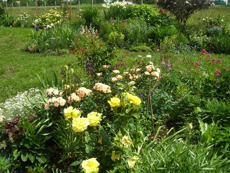 Part of front border
