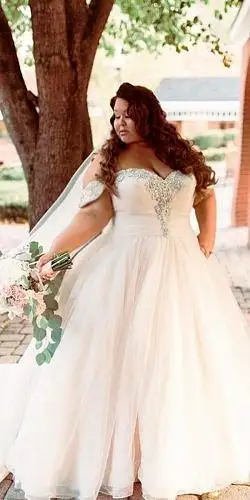 Strapless a-line plus size wedding gowns from Darius...