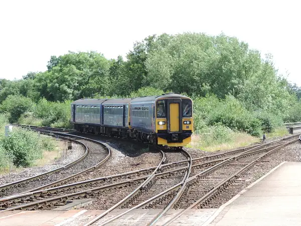 153382 Exeter Saint Davids 30-06-13 by AlvinKnight