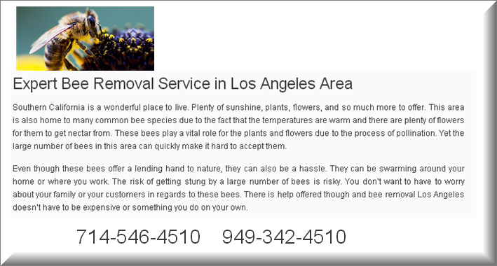 Los Angeles Bee Removal Service