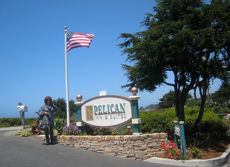 Kitty stands in front of Pelican Inn sign in Cambria telephoto