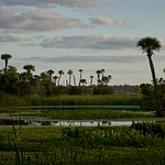 Orlando Wetlands 4-20-23