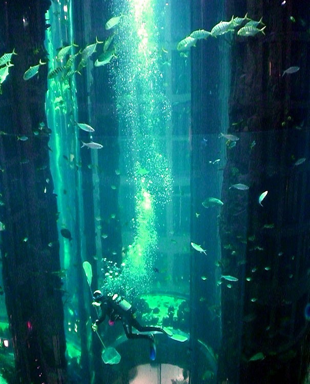 radisson-blu-hotel-aquarium-scuba-diving-berlin-7