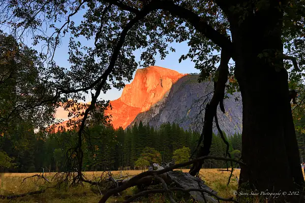 Yosemite 2012-27 by Steven Shorr