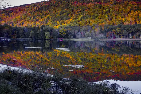 Vermont Fall Colors-6 by Steven Shorr