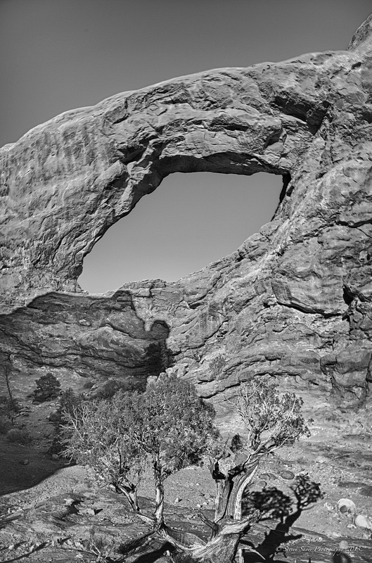 Windows Arch Area- Arches NP-5