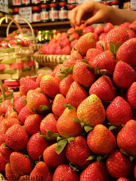 Baguio 05 - Strawberries Galore by fatimakulit