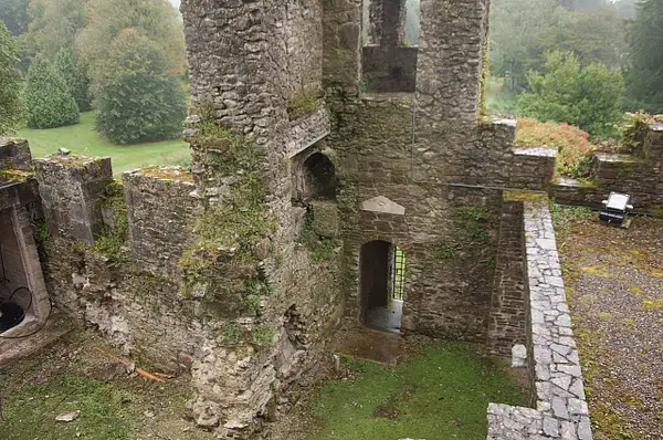 Blarney Castle by bob bielecki