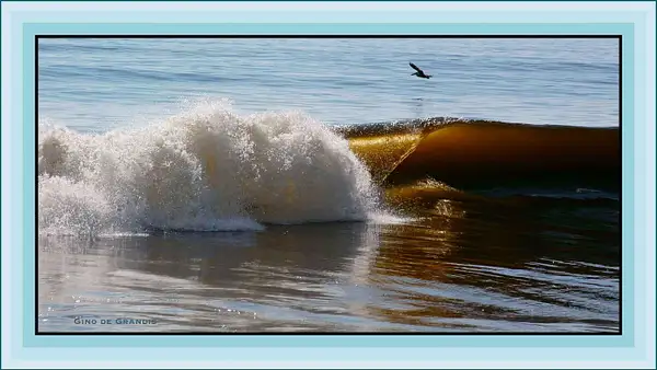 The Golden Wave by Gino De  Grandis