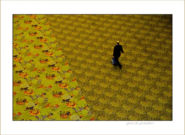 Carpet by Gino De  Grandis