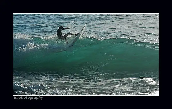 surfing by Gino De  Grandis