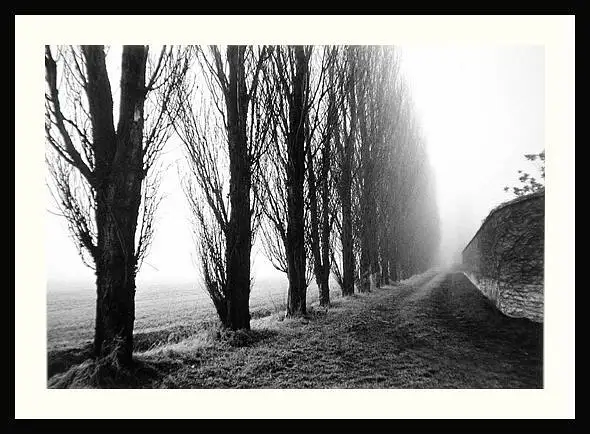 Winter-Sentinels[ by Gino De  Grandis