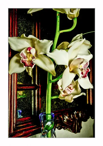 Orchids by the window by Gino De  Grandis