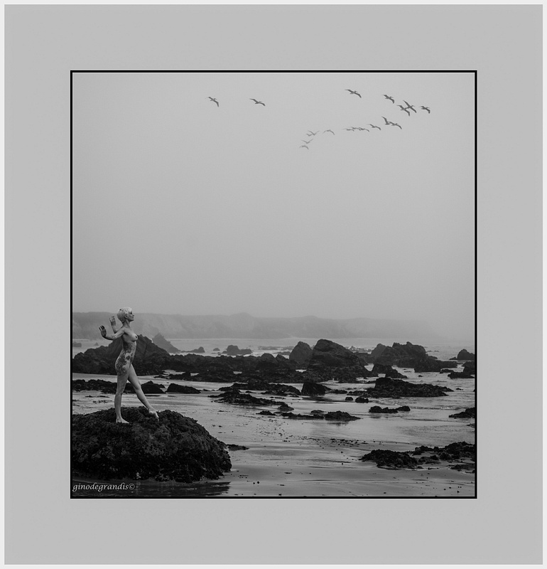 LuiPhotography©Good Morning Ocean