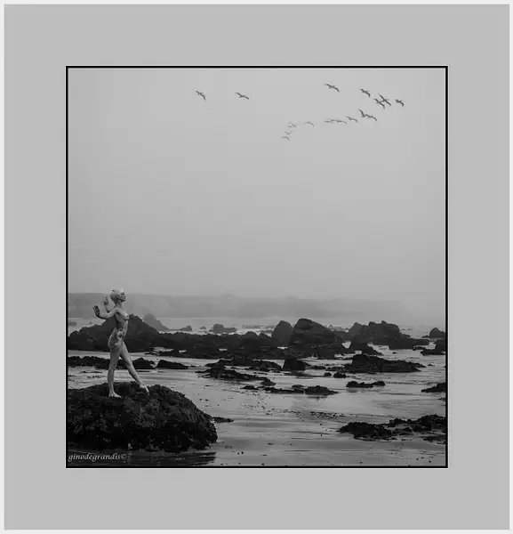 LuiPhotography©Good Morning Ocean by Gino De  Grandis