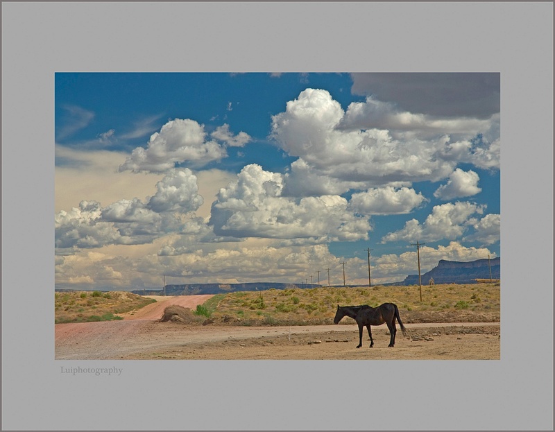 Solitary Horse -Indian Reservation -Arizona 106 F Temperature
