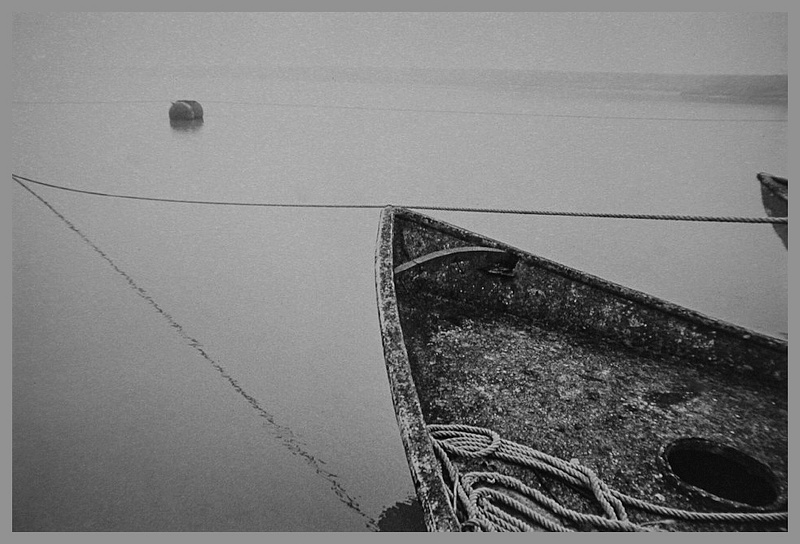 Suspended Water- Foci del fiume Po- ITALY- B&W 35mm negative