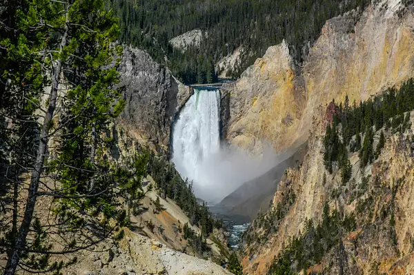 Yellowstone Waterfall by Gino De  Grandis