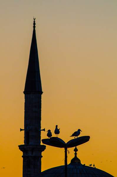 ISTANBUL Sunset at New Mosque by Gino De  Grandis