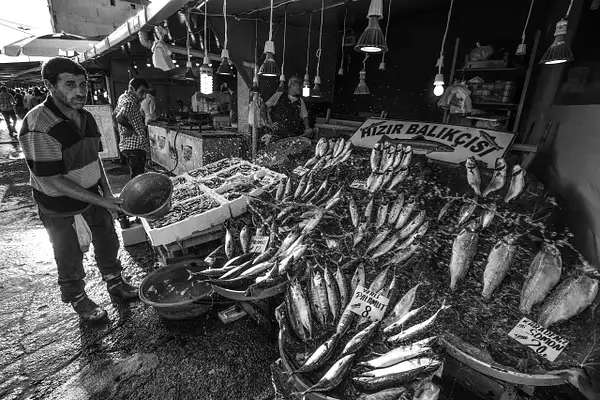 ISTANBUL - water to the fish by Gino De  Grandis
