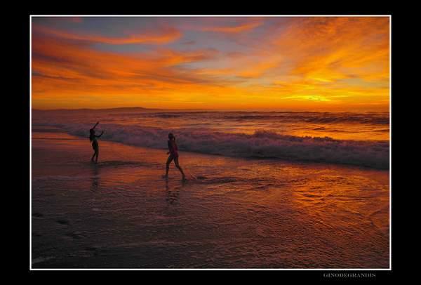 Monterey Bay, Marina Beach by Gino De  Grandis